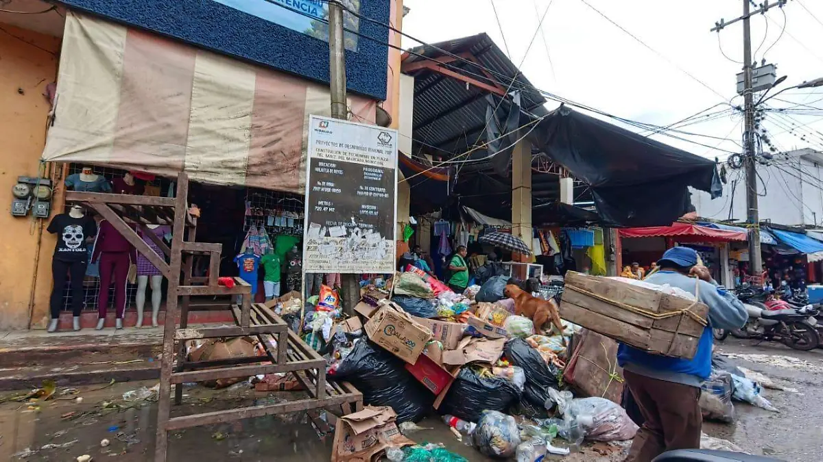 TONELADAS BASURA 1